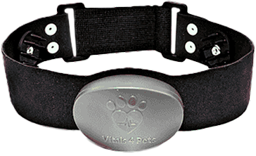 Dispositivo de monitorización cardíaca Vitals4Pets