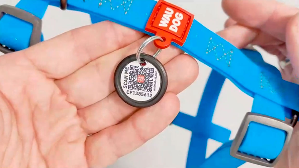 Primer plano de la etiqueta de identificación inteligente WauDog en el collar.