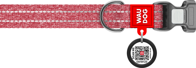 Smart ID con pasaporte QR